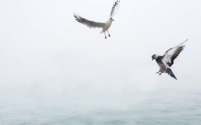 Suomalaisia perinteitä