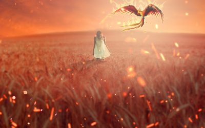 Kriisin läpikäyminen