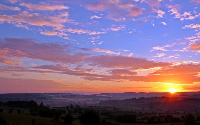 Eri eutanasian muodot